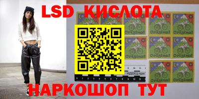 бошки Краснодар