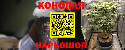 бошки Краснознаменск