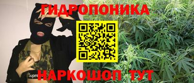 бошки Краснодар