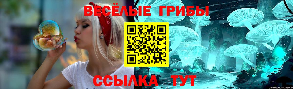 Черногорск  Галлюциногенные грибы мицелий  Вход с VPN  Галлюциногенные грибы MAGIC MUSHROOMS 